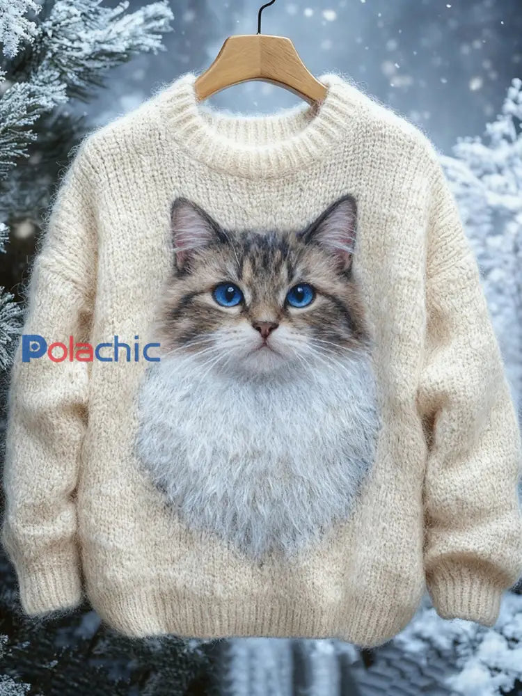 Le chat des femmes a tricoté le chandail comme image / S