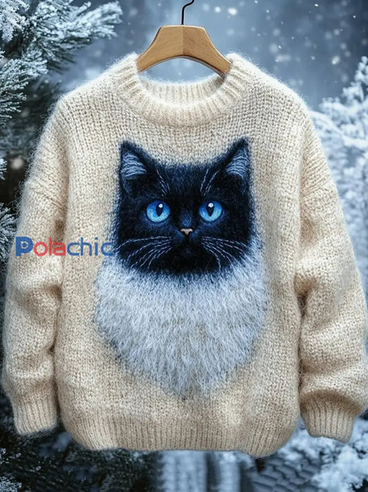 Le chat des femmes a tricoté le chandail comme image / S