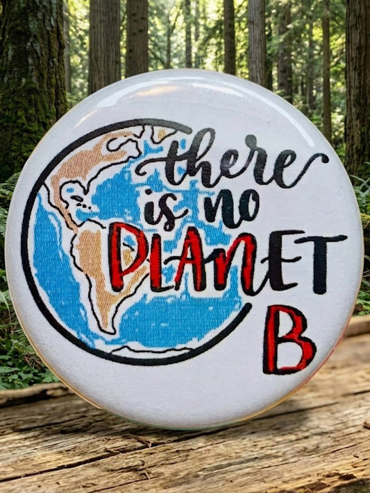 Il n'y a pas de planète B Broche