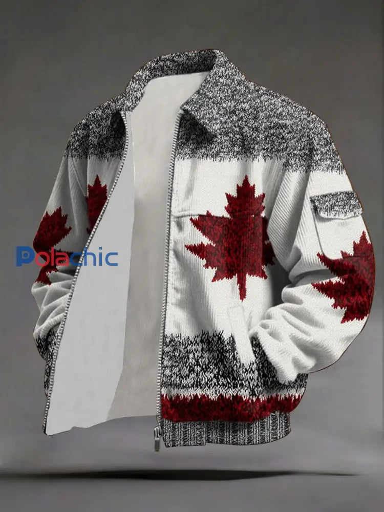 Sweat à capuche zippé Homme comme image / S